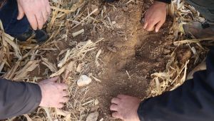 Büyükşehir’de Tarımda Yenilikçi Yöntem