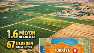 Dünyanın En Büyük Tarım İşletmesi Şanlıurfa’da Bulunuyor