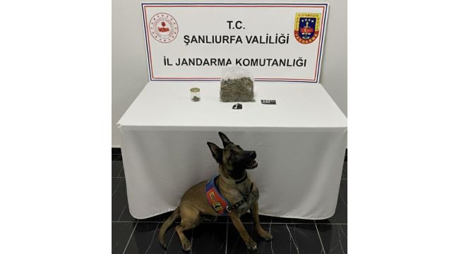 Haliliye’de Uyuşturucu Operasyonu