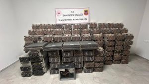 Hilvan’da Kaçak Kripto Madenciliği Operasyonu