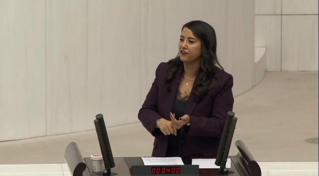 Milletvekili Ayan’dan Sert Adalet Eleştirisi: “Hukuk Devleti Sözü Temenniden İbaret”