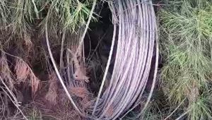 Şanlıurfa’da Direk Hırsızları Bölgeyi Elektriksiz Bıraktı