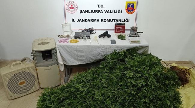 Şanlıurfa’da Ruhsatsız Silah ve Uyuşturucu Operasyonu: 20 Şüpheli Hakkında İşlem