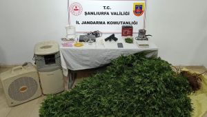 Şanlıurfa’da Ruhsatsız Silah ve Uyuşturucu Operasyonu: 20 Şüpheli Hakkında İşlem