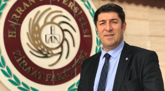 Şanlıurfa Fıstığı Üretiyor, Katma Değer Başka Yerlere Gidiyor