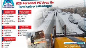 Eyyübiye’de 625 personel 147 araç sahada