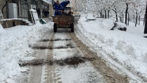 Eyyübiye’de Karla Mücadele Geceden Başladı