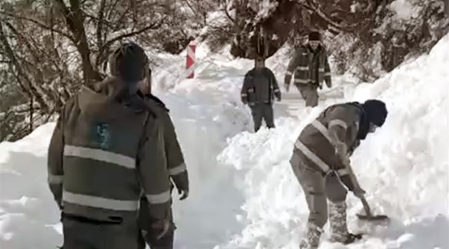 Güneydoğu Son 50 Yılın En Sert Kışında Enerjisiz Kalmadı: Dicle Elektrik Ekipleri -20 Derecede Görev Başında!