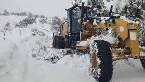 Haliliye Belediyesi Karla Mücadeleyi Dört Koldan Sürdürüyor