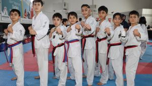 Karaköprü’de Taekwondo Turnuvası