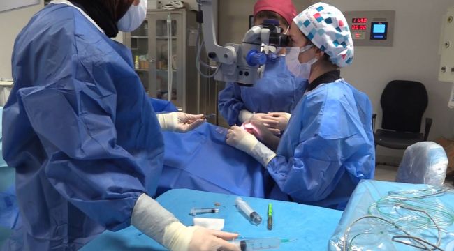 Katarakt Tedavisinde Erken Tanı Hayat Kalitesini Yükseltiyor