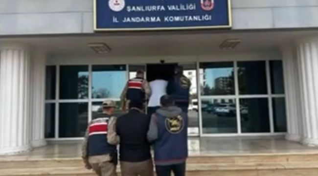 Şanlıurfa'da Jandarmadan Başarılı Operasyon