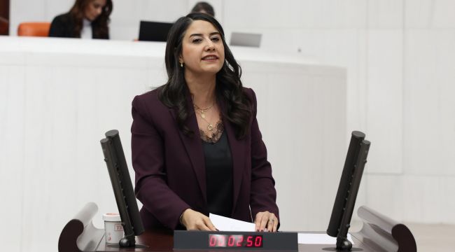 Şanlıurfa Milletvekili Dilan Kunt Ayan’dan Özel Eğitim Merkezleri İçin Meclis’e Soru Önergesi