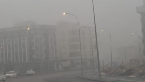 Şanlıurfa Sise Teslim Oldu: Trafikte Zor Anlar Yaşanıyor