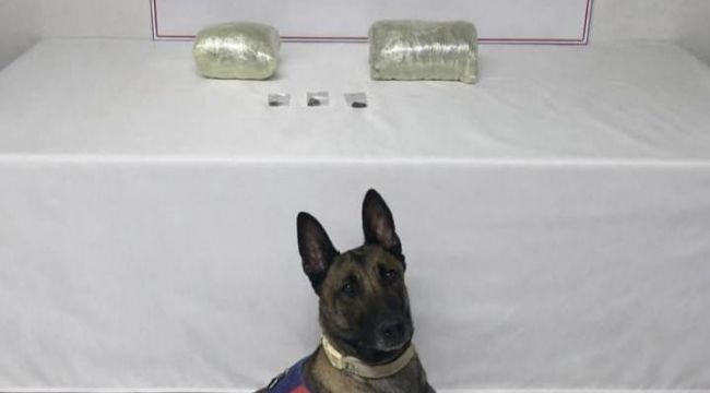 Siverek’te Uyuşturucu Operasyonu: Kilolarca Kubar Esrar Ele Geçirildi