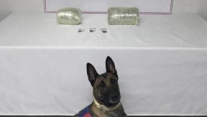 Siverek’te Uyuşturucu Operasyonu: Kilolarca Kubar Esrar Ele Geçirildi