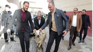 Eyyübiye’de 400 Aileye Ramazan Sürprizi