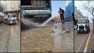 Eyyübiye’de öncelik: Temizlik