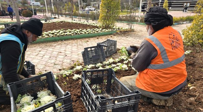 Eyyübiye Yeşil Alanları Bahara Hazırlanıyor