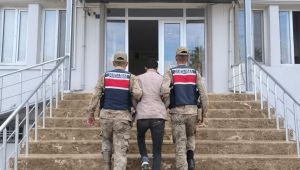 Harran’da 30 Bin TL’lik Hırsızlık Aydınlatıldı: 1 Şüpheli Gözaltında