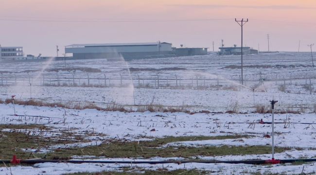 Karla Kaplı Arazide Kaçak Elektrikle Sulama!