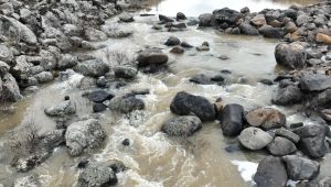 Kuraklık Yerini Berekete Bıraktı: Karahisar Çayı Yıllar Sonra Yeniden Akıyor