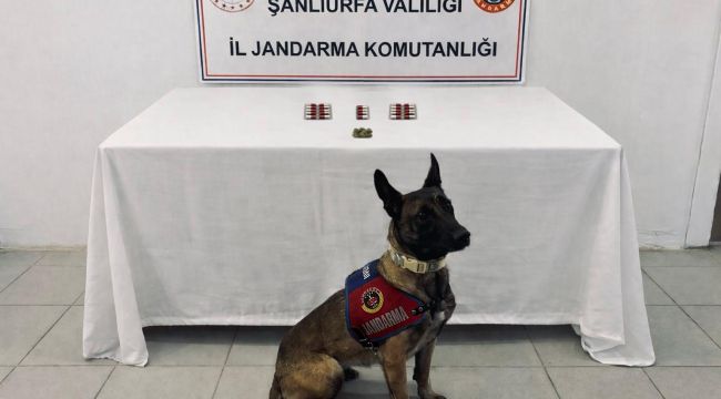 Şanlıurfa’da Narkotik Operasyonu: 8 Şüpheliye Adli İşlem