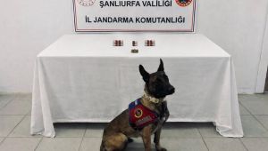 Şanlıurfa’da Narkotik Operasyonu: 8 Şüpheliye Adli İşlem