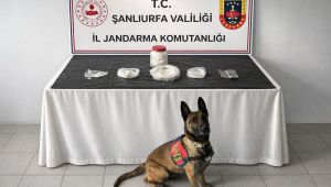Şanlıurfa’da Uyuşturucu Operasyonu: 538 Gram Sentetik Madde Ele Geçirildi