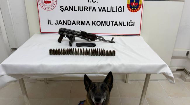 Suruç’ta Jandarmadan Silah Operasyonu: 1 Şüpheliye Adli İşlem