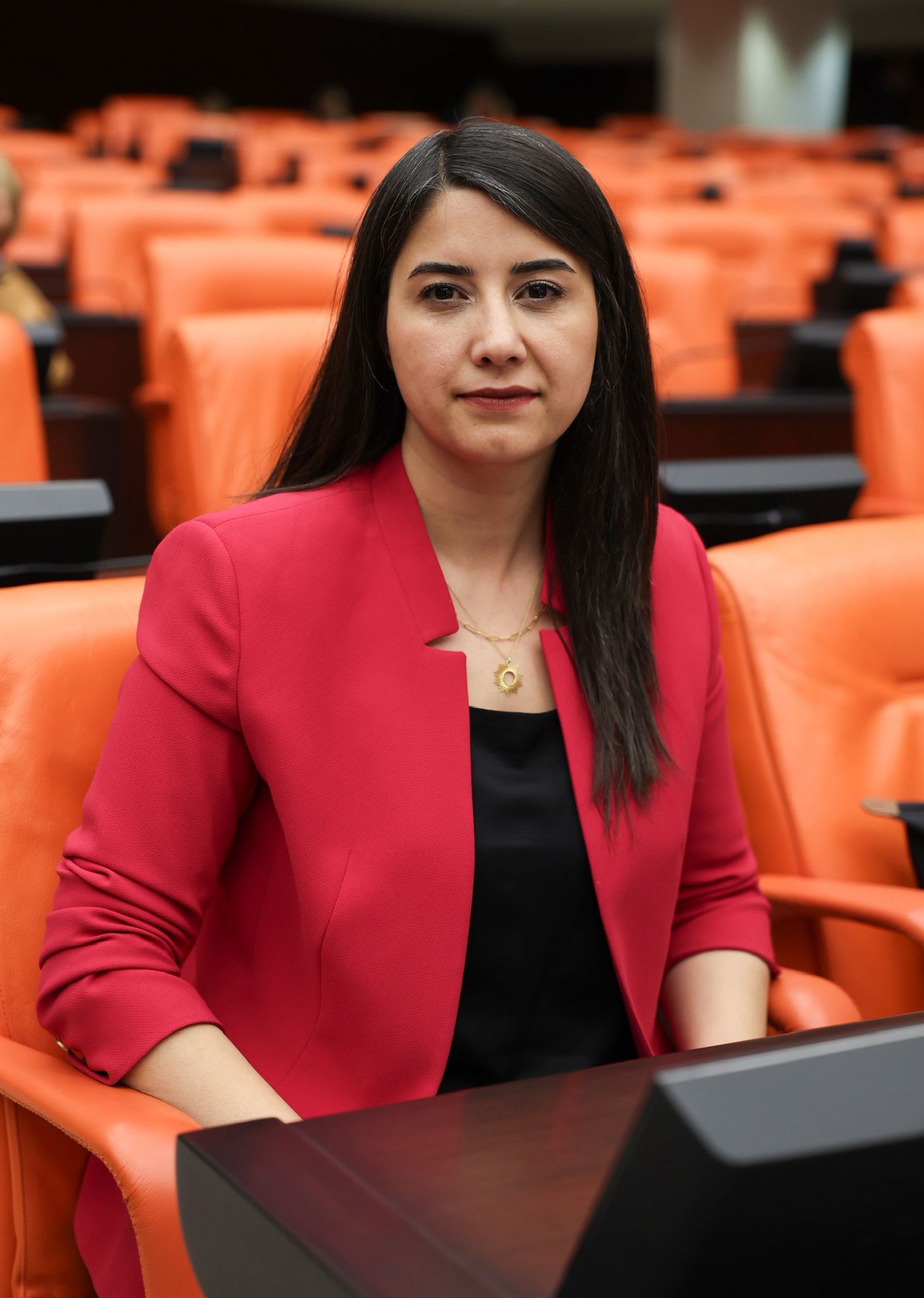 Vekil Ayan'dan TBMM'ye Şanlıurfa Başvurusu: 