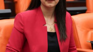 Vekil Ayan'dan TBMM'ye Şanlıurfa Başvurusu: 