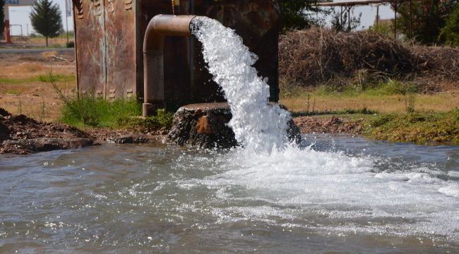 Yasağa rağmen mısır ekimi kaçak elektrik kullanımını artırdı, 15 milyar TL’lik kayba yol açtı