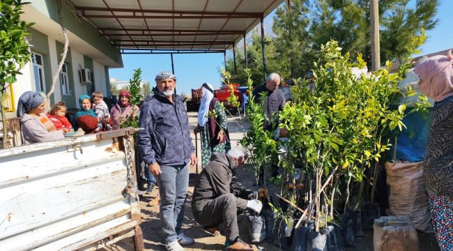 Ceylanpınar’da Yeşil Seferberlik: 6 Bin Meyve Fidanı Toprakla Buluşuyor