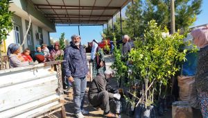 Ceylanpınar’da Yeşil Seferberlik: 6 Bin Meyve Fidanı Toprakla Buluşuyor