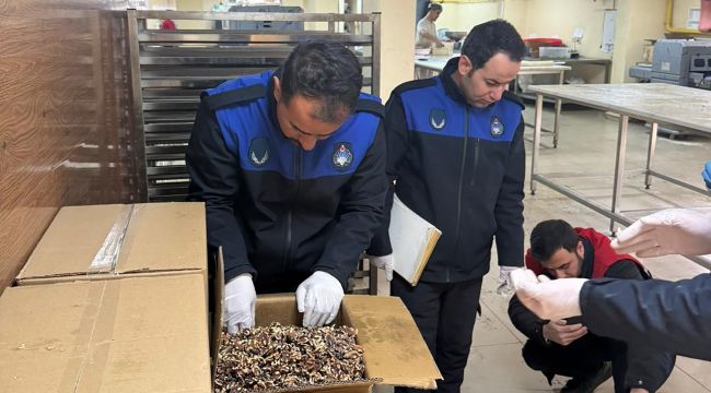 Haliliye'de Gıda Denetimi: Küflü Cevizlere El Konuldu 
