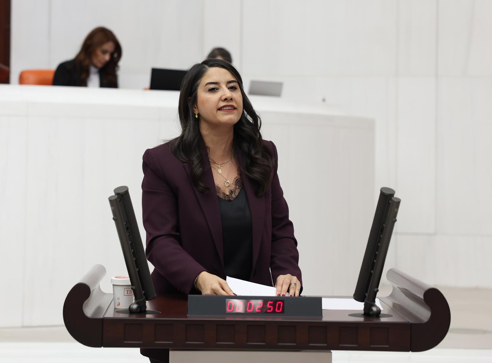 Milletvekili Ayan’dan sağlıkta şiddet için Meclis araştırması talebi