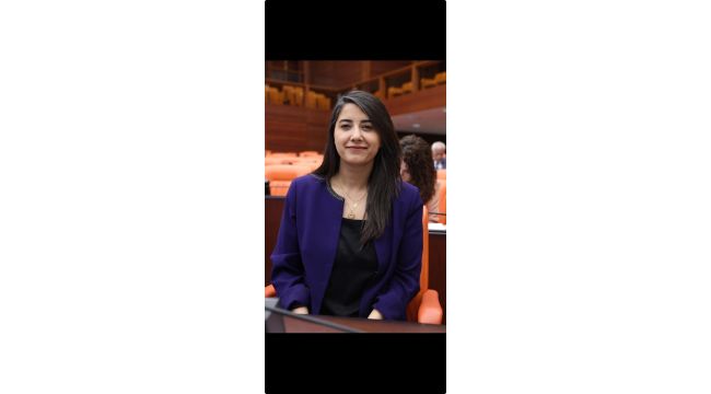 Şanlıurfa’da Kadına Yönelik Şiddetin Araştırılması İçin Meclis’e Önerge