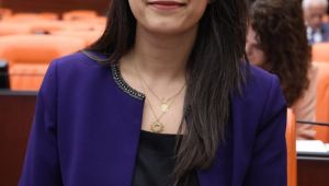 Şanlıurfa’da Kadına Yönelik Şiddetin Araştırılması İçin Meclis’e Önerge