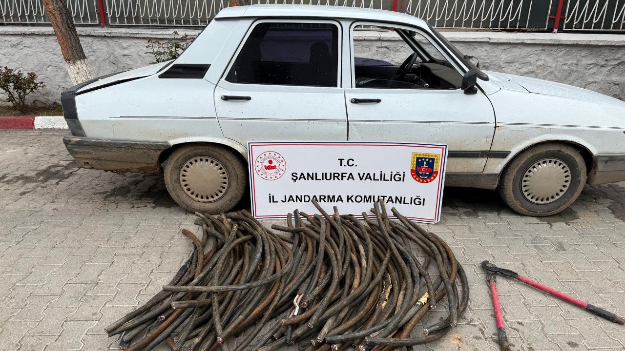 Ceylanpınar’da Kablo Hırsızlığı Girişimi Engellendi