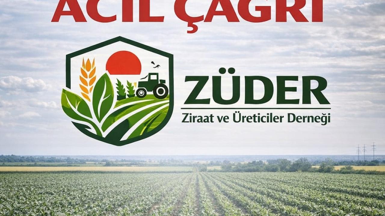 Suruç Ovası İkinci Ürün Mısır Ekimi Hakkında Acil Çağrı