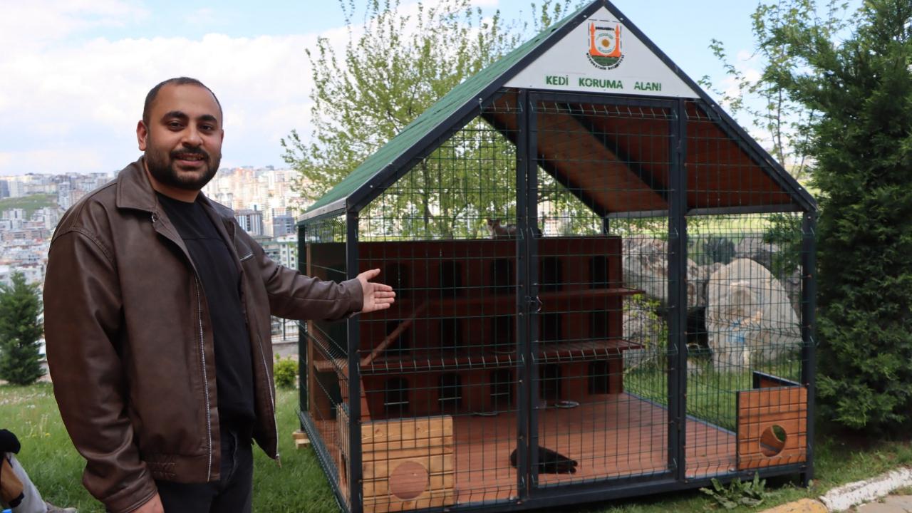 Büyükşehir Belediyesi’nden Sokak Kedileri İçin Örnek Proje