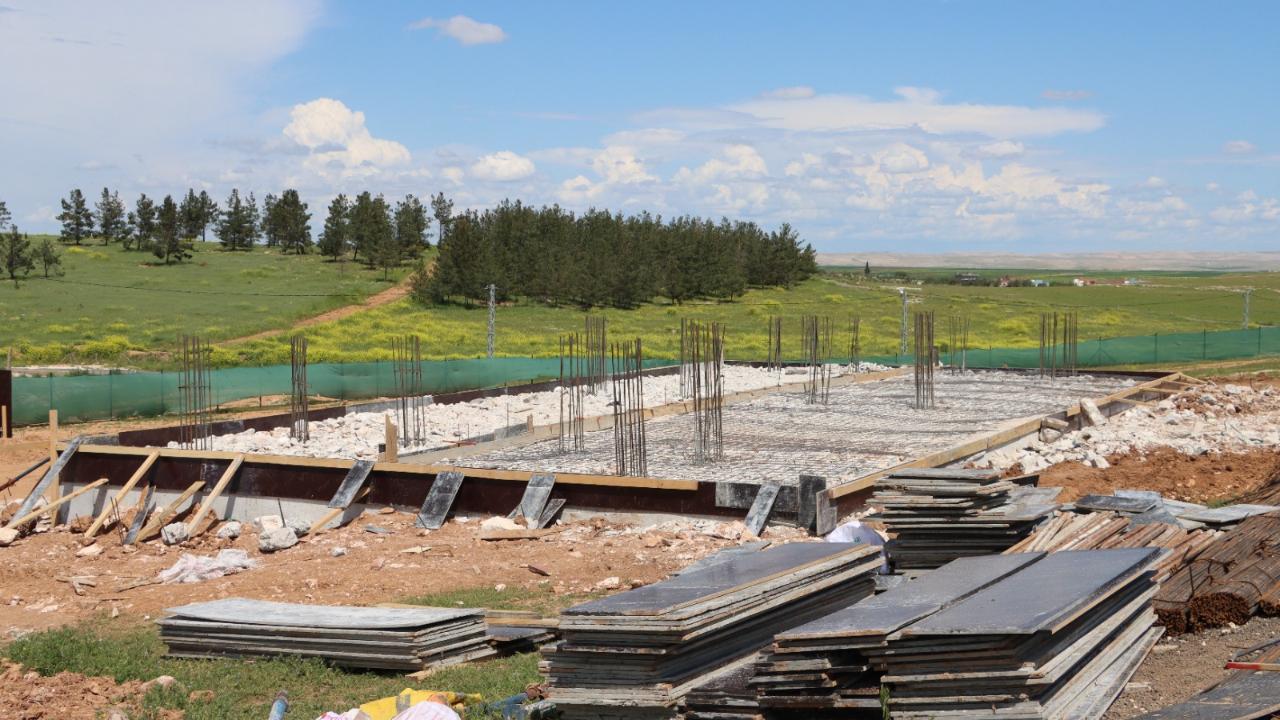 Karaköprü’de Sokak Hayvanlarının Doğal Yaşam Alanı Güçlendiriliyor