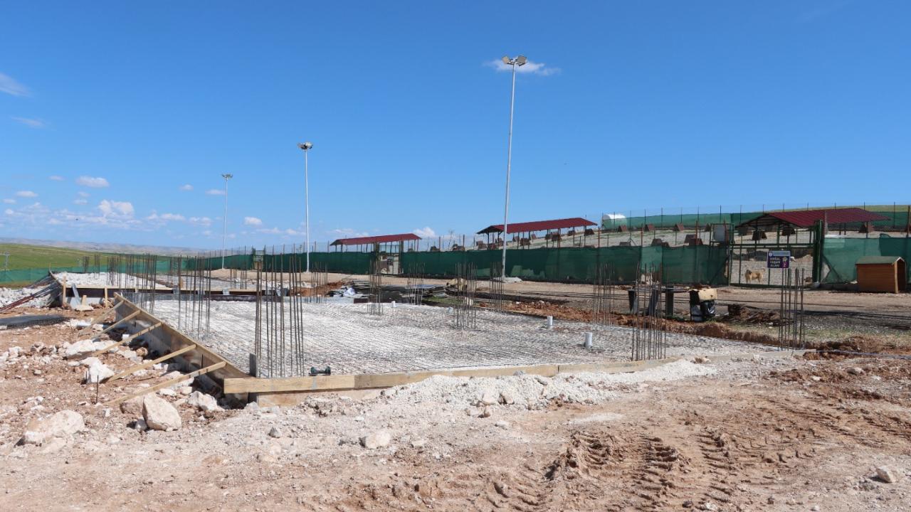 Karaköprü’de Sokak Hayvanlarının Doğal Yaşam Alanı Güçlendiriliyor