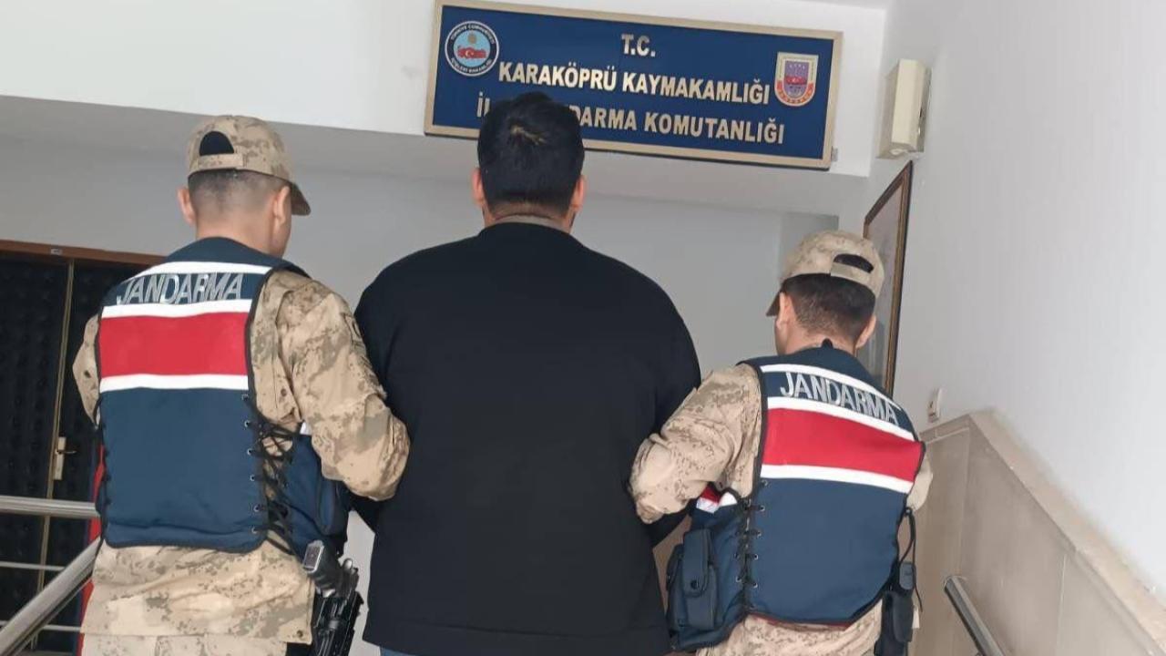Şanlıurfa’da aranan bir hükümlü, jandarma ekiplerinin çalışması sonucu yakalandı