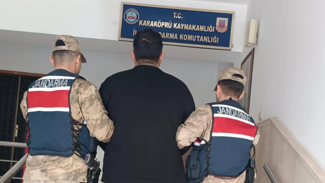 Şanlıurfa’da aranan bir hükümlü, jandarma ekiplerinin çalışması sonucu yakalandı