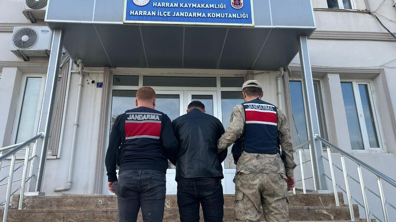 Şanlıurfa’da Dolandırıcılıktan Aranan Hükümlü Yakalandı