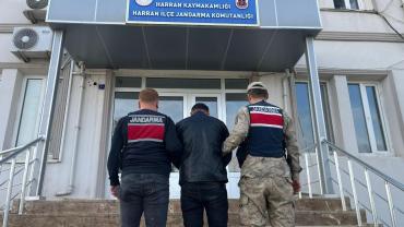 Şanlıurfa’da Dolandırıcılıktan Aranan Hükümlü Yakalandı