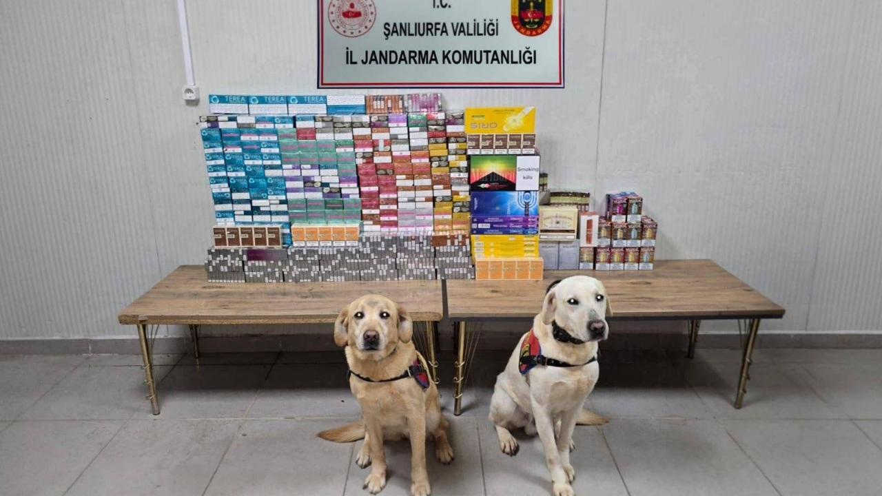 Şanlıurfa’da Kaçak Tütün ve Sigara Operasyonu: 27 Şüpheliye İşlem