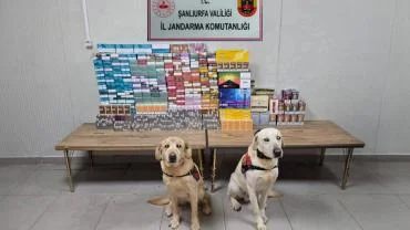 Şanlıurfa’da Kaçak Tütün ve Sigara Operasyonu: 27 Şüpheliye İşlem